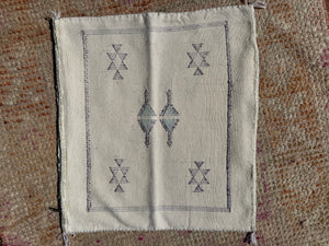 Silk Cactus Cushion - 45 x 45 - #20 - LMR