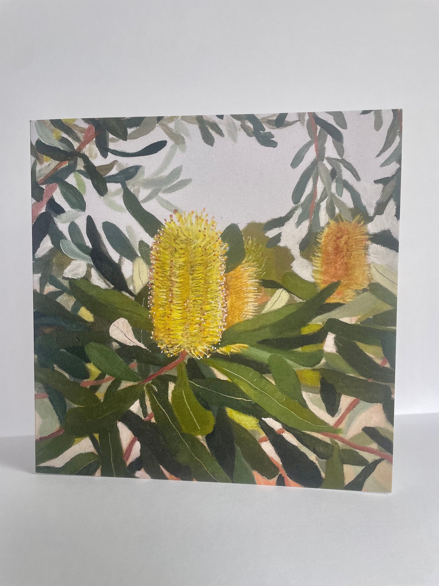 Yellow Banskia - Greeting Card