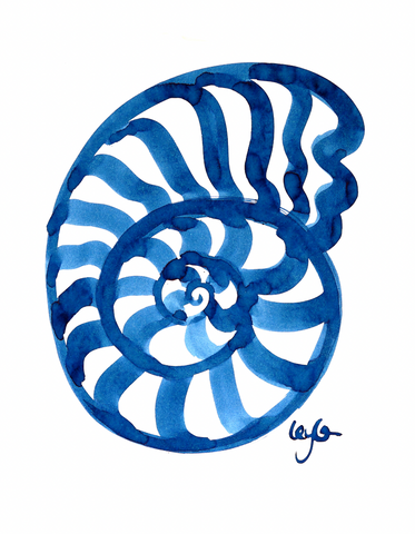Seashell Spiral 1 'Original'