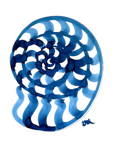 Seashell Spiral 2 'Original'